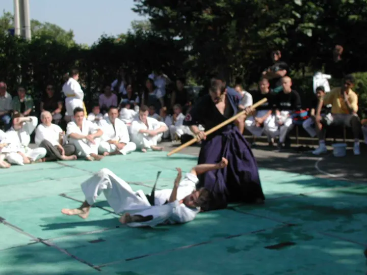 Aikivudao la Batarelle BUDOKAI — arts martiaux-studio à Marseille — 4