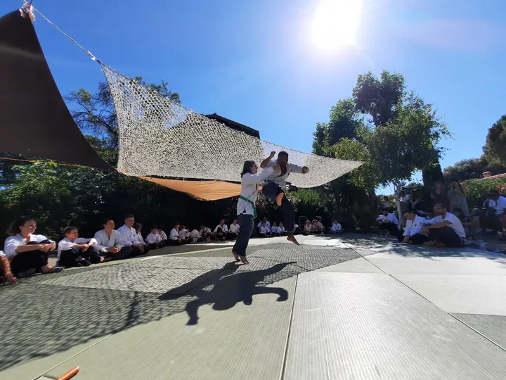 Aikivudao la Batarelle BUDOKAI — Arts martiaux à 14e Arrondissement, Marseille