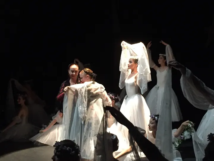 Balletstudio Giselle Leiderdorp — dans-studio in Ouderzorg, Leiderdorp — 3
