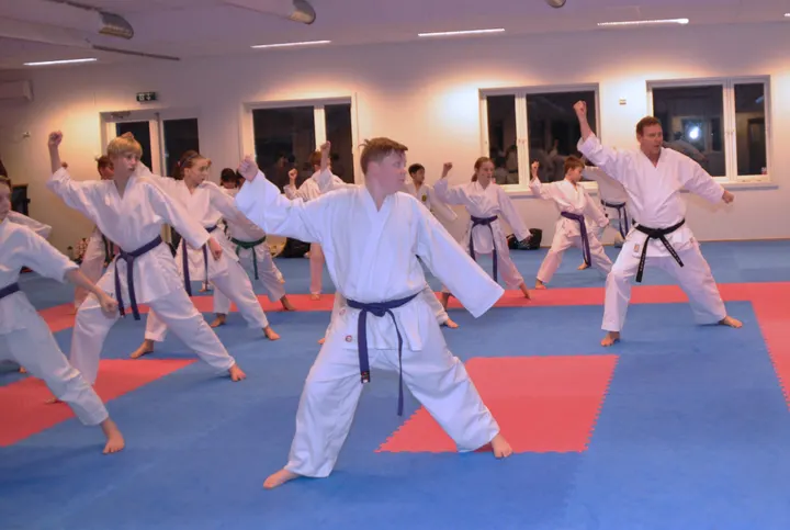 Vågsbygd Karateklubb — kampsport-studio i Augland, Kristiansand — 3