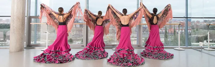ESCUELA PROFESIONAL DE DANZA — baile-studio en Valladolid — 5