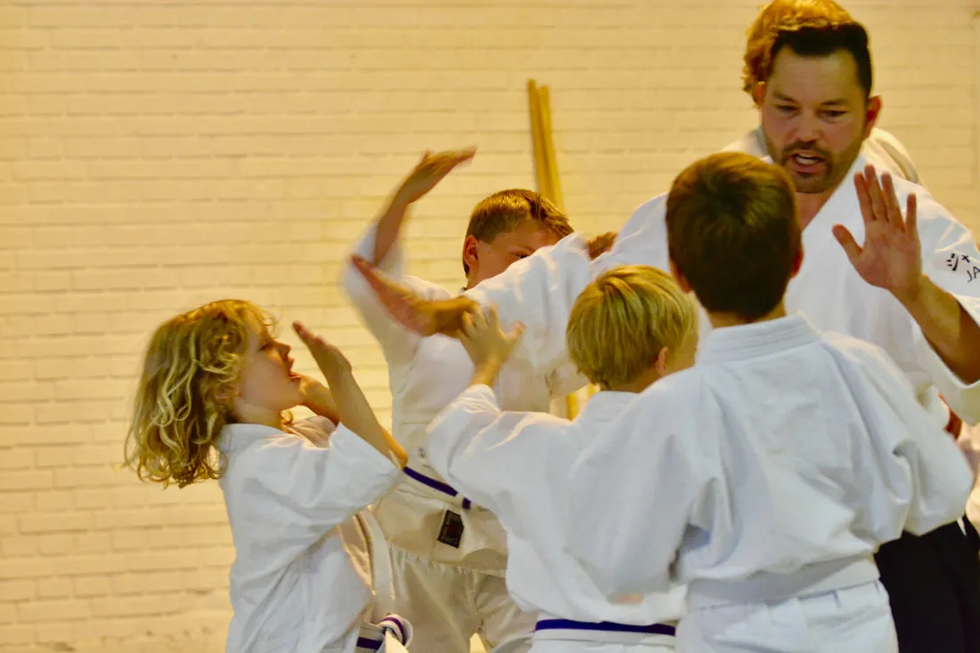 Aikido Dojo Svendborg — kampsport-studio i Vindebyøre, Svendborg — 3