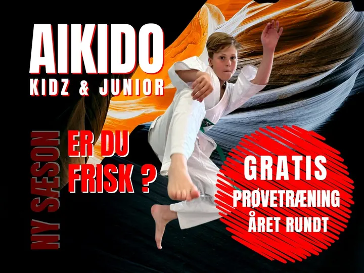 Aikido Dojo Svendborg — Martial Arts i Vindebyøre, Svendborg