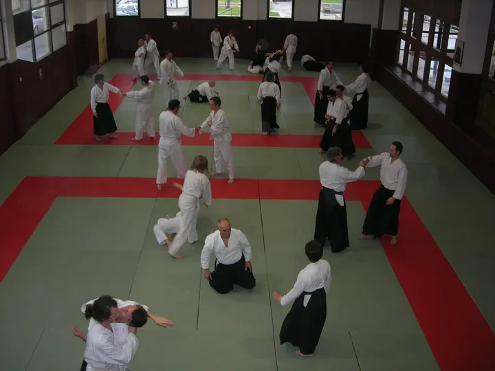 Aikido Takemusu Aiki — arts martiaux-studio à Gares, Montpellier — 2