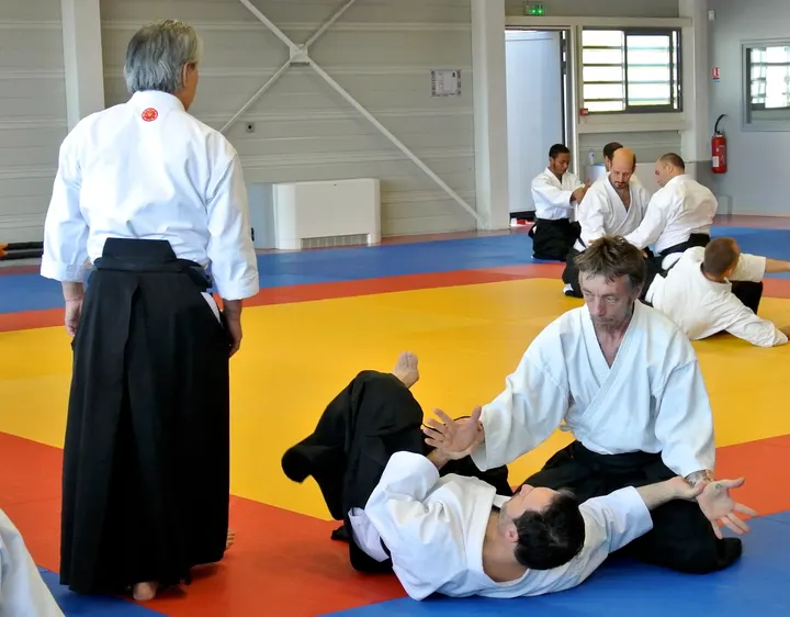 Aikido Takemusu Aiki — arts martiaux-studio à Gares, Montpellier — 3