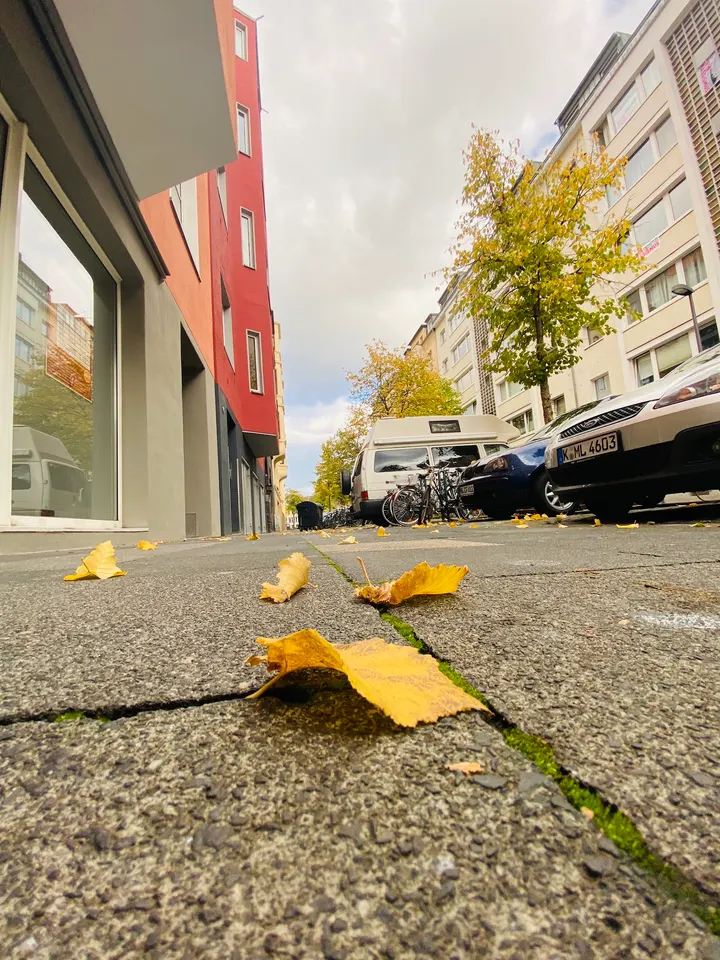 Shaolin Kulturzentrum Köln — kampfsport-studio in Neustadt/Nord, Köln — 2