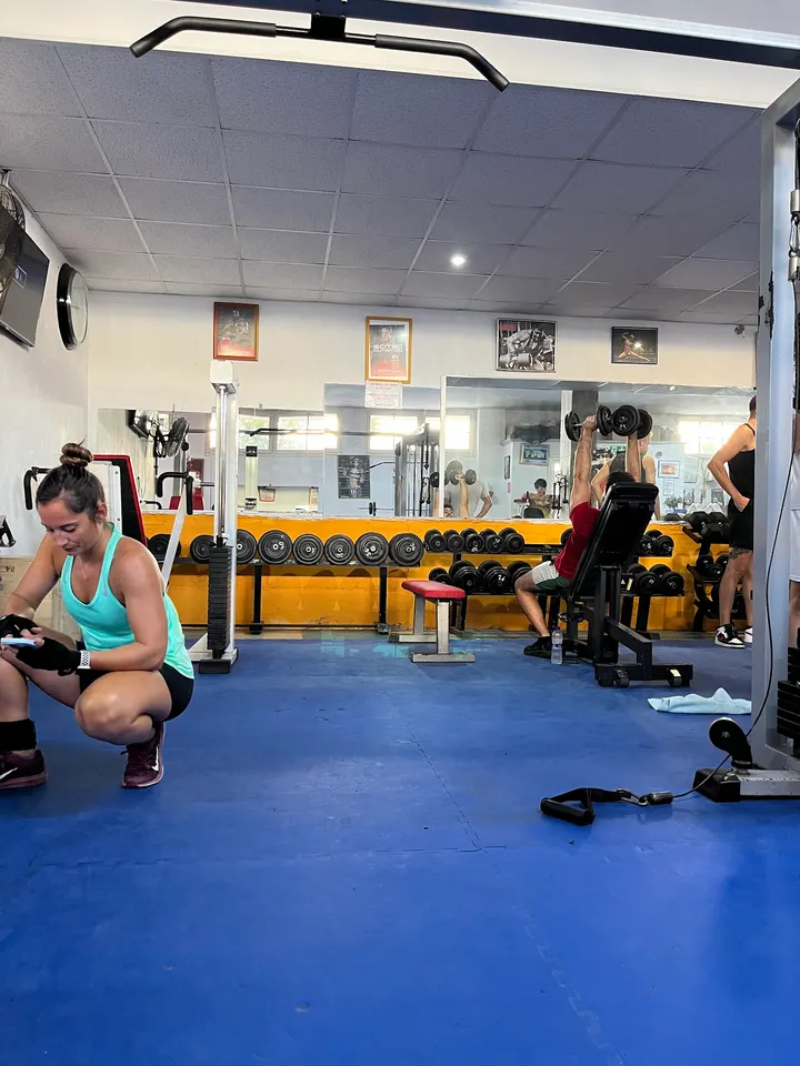 Gym L'estartit — estudio de fitness-studio en L'Estartit — 2