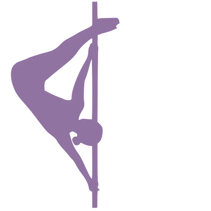 MJP Polesports Aerial Arts & Yoga — yoga-studio in Hausen-Arnsbach, Neu-Anspach — 2
