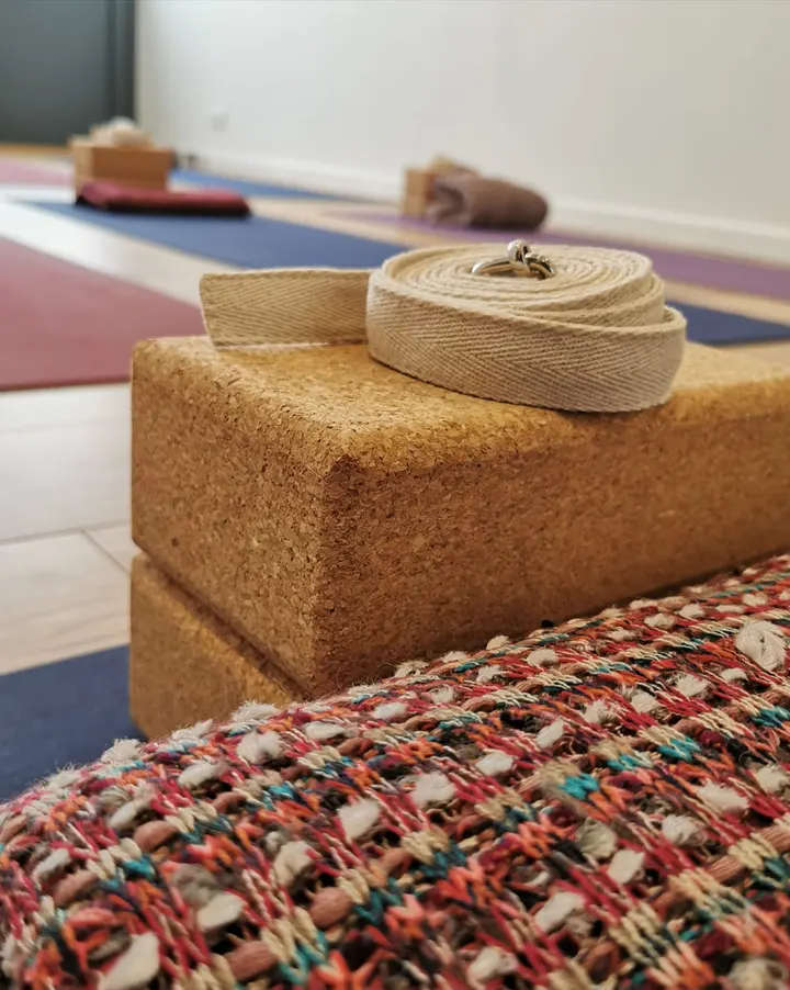 ANANDA SHALA Ashtanga yoga Grenoble — yoga-studio à Grenoble — 4