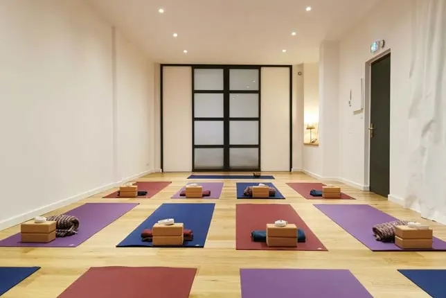 ANANDA SHALA Ashtanga yoga Grenoble — yoga-studio à Grenoble — 5