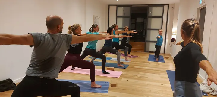 ANANDA SHALA Ashtanga yoga Grenoble — Yoga à Secteur 2, Grenoble