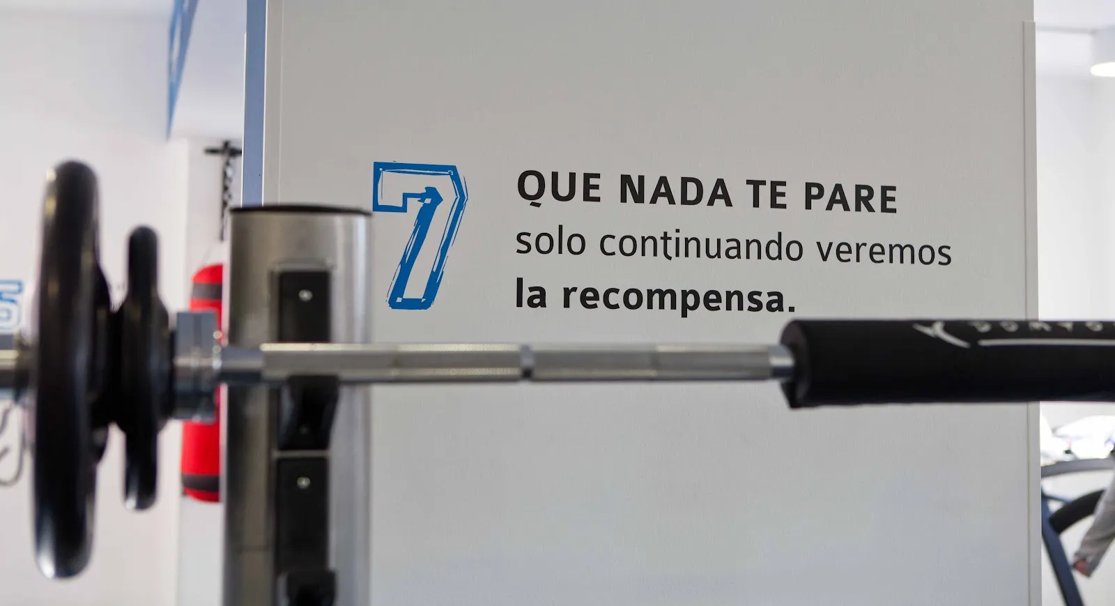 Centro Deportivo y Clínica Credus — entrenamiento personal-studio en Sevilla — 4