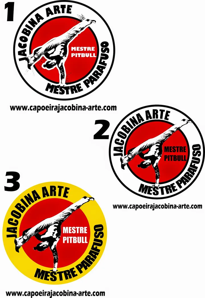 Capoeira Nantes - Jacobina Arte - Mestre Parafuso — arts martiaux-studio à Madeleine - Champ de Mars, Nantes — 3