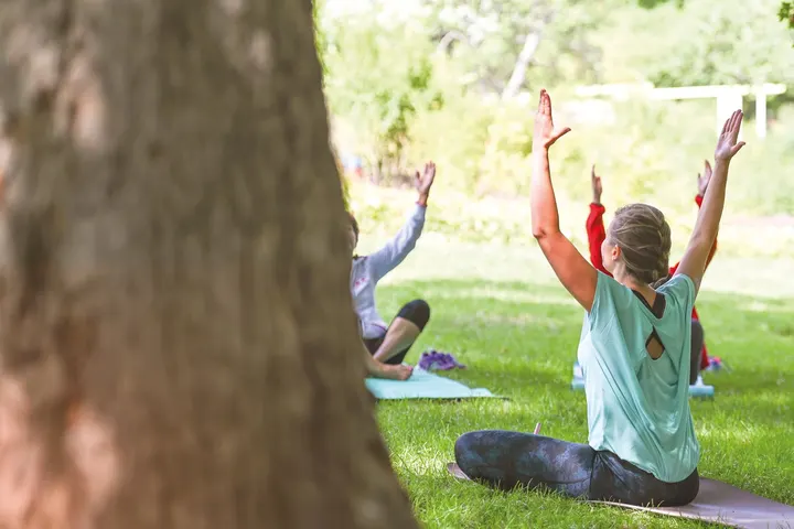 Yogalia Erfurt — yoga-studio in Erfurt — 5