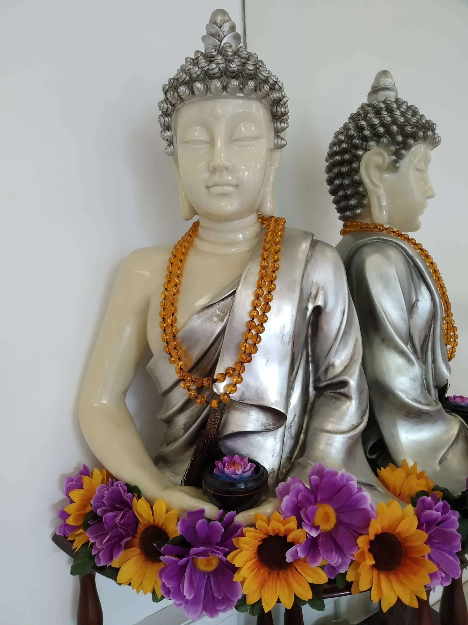 Sol de Loto Estudio — yoga-studio en Irun — 4