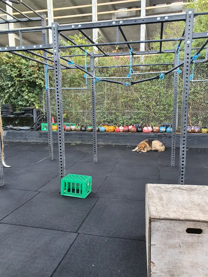 Unity Gym — træningsstudio i København — 5