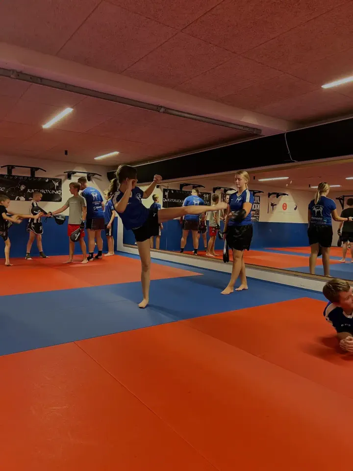 Jyllinge Kampsport — martial arts-studio i Nordmark, Jyllinge
