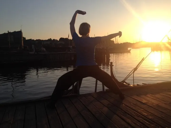 Roskilde Shinson Hapkido Klub — kampsport-studio i Roskilde — 6