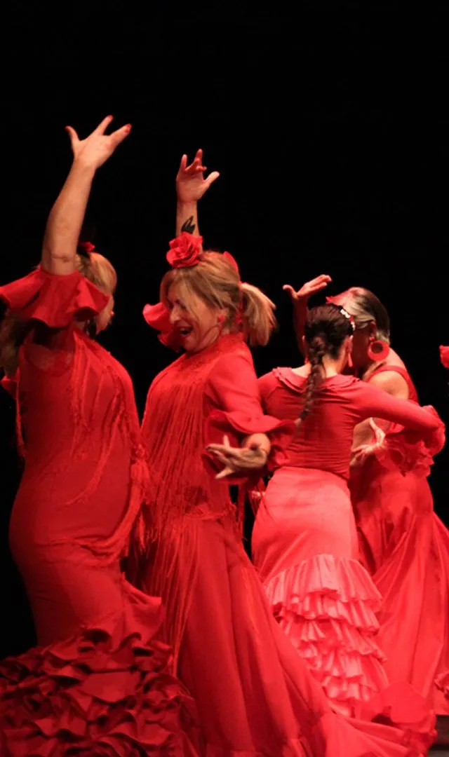 Academia de Baile Lola Ramos — dans-studio i Castelló de la Plana — bild 3