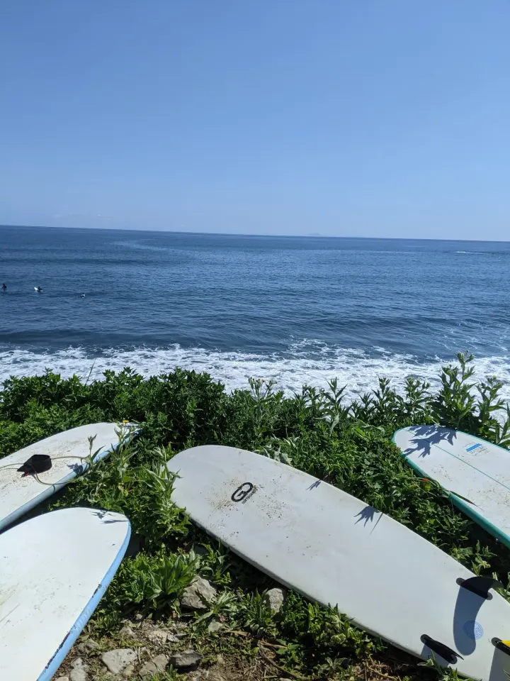 Surf Clube da Madeira — jiu-jitsu brasileiro-studio em Machico — 3