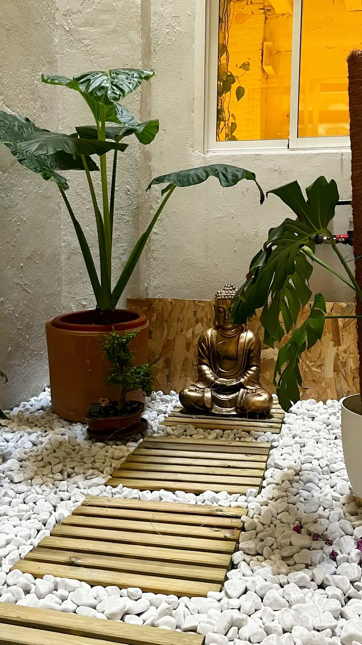 Mārgaṇa Yoga Studio — yoga-studio en Valencia — 3