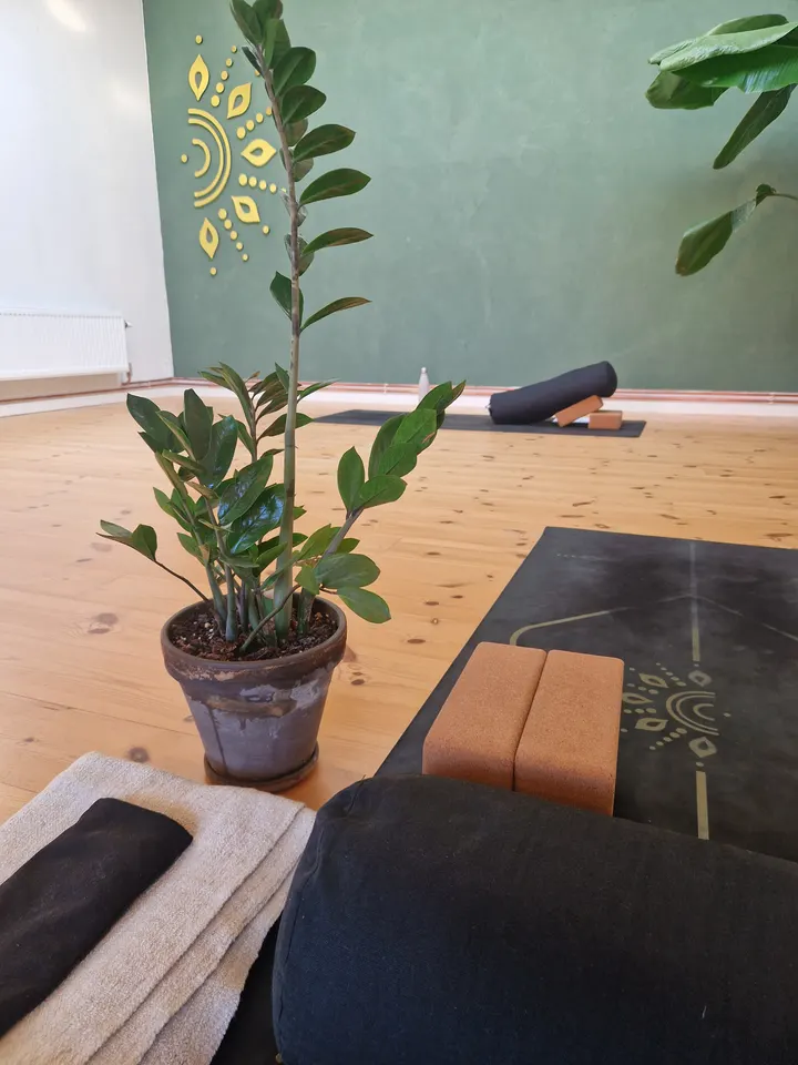 Ascend Studio Køge — yoga-studio i Gammel Køge By, Køge — 2