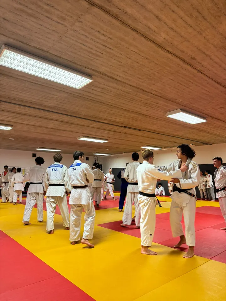 ISDJAM (judo et arts martiaux) — arts martiaux-studio à L'Île-Saint-Denis, Paris — 2