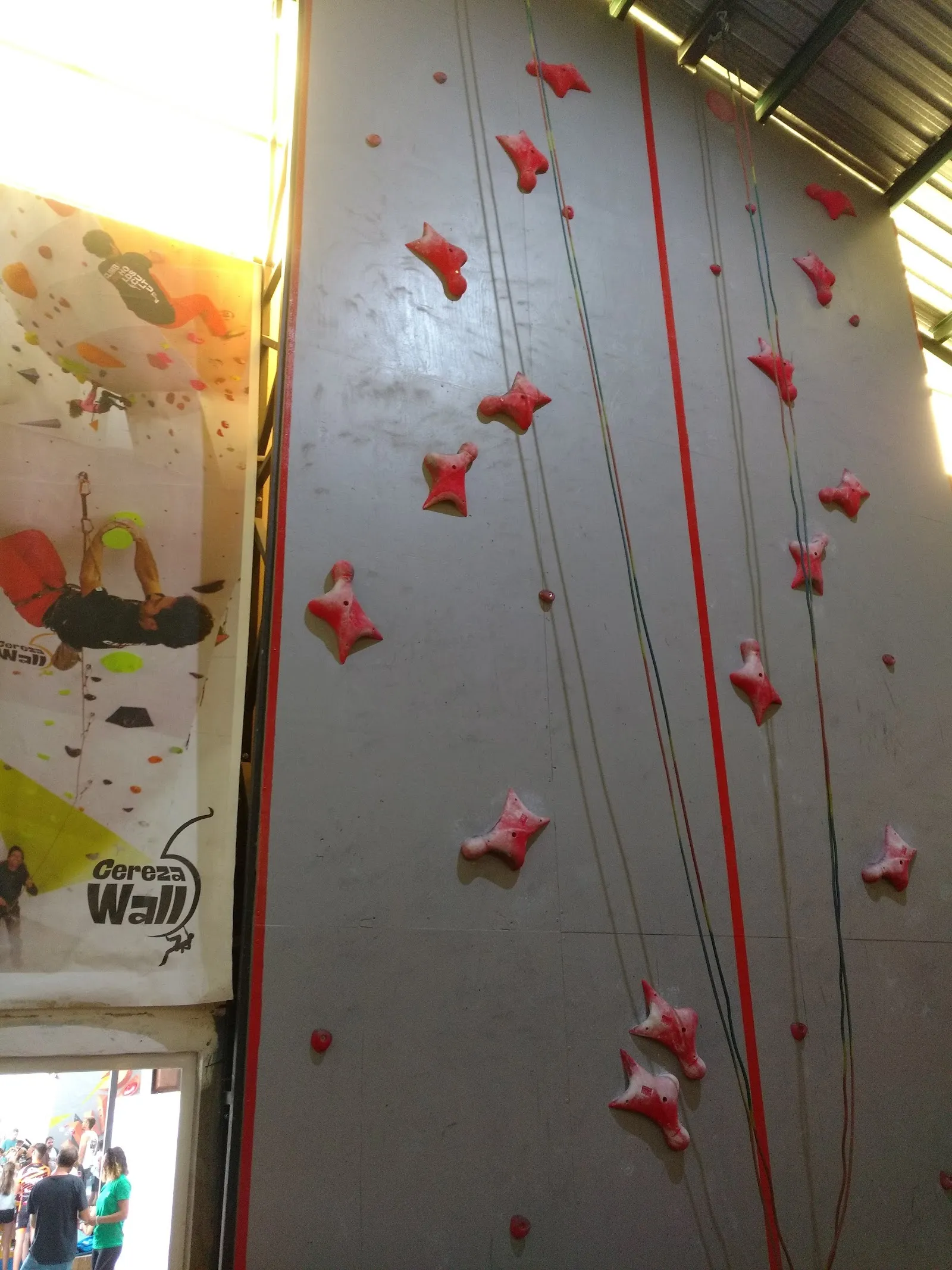 Cereza Wall — escalada-studio en Plasencia — 2