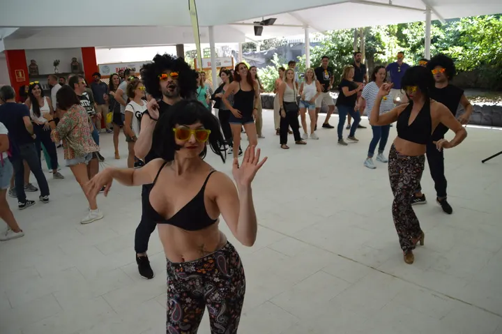 Espacio De Danza Emilio Serrano — baile-studio en Madrid — 4