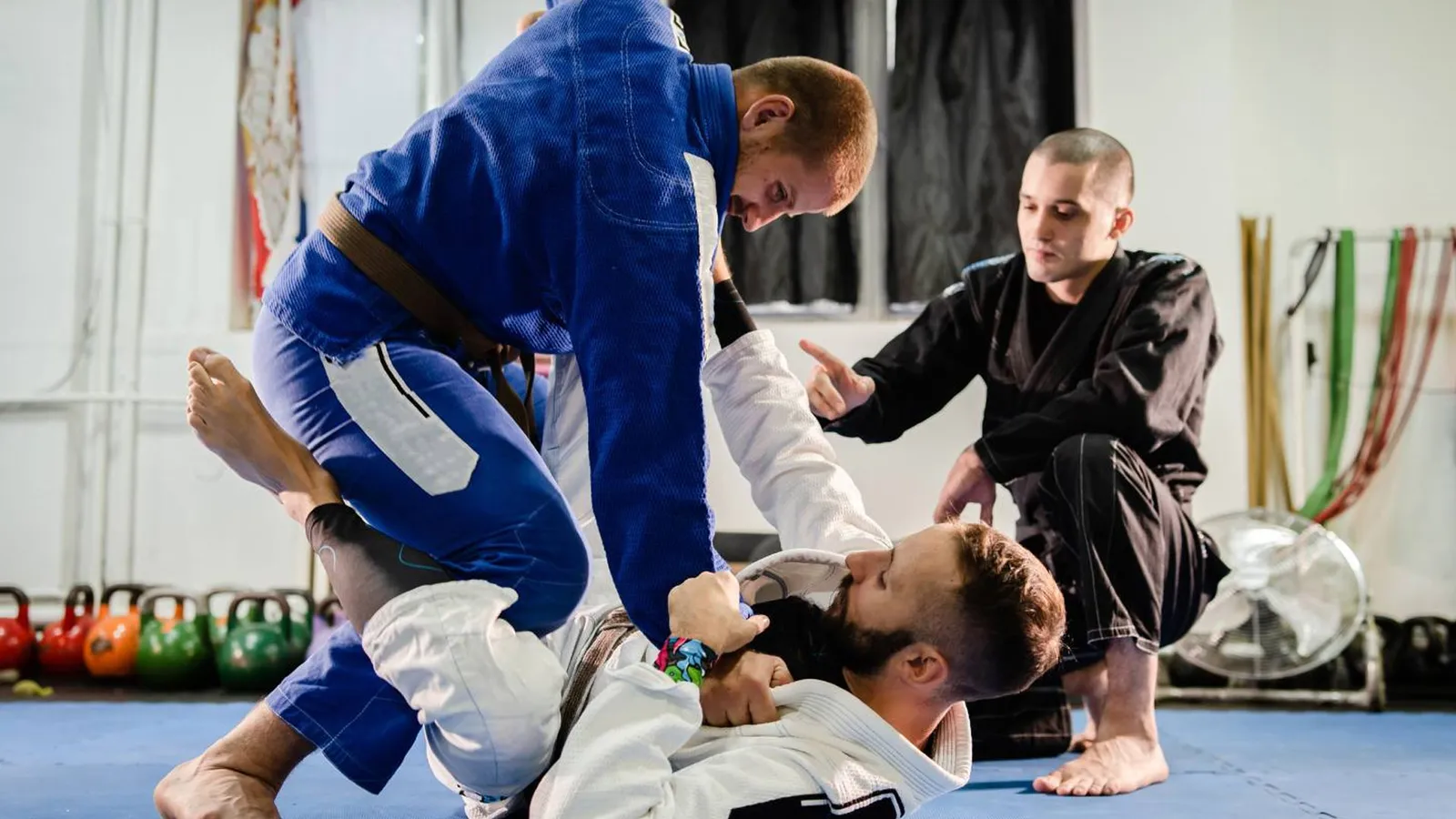 Tomi Lindholm Valmennus Oy — pt studio – Lahti — 3