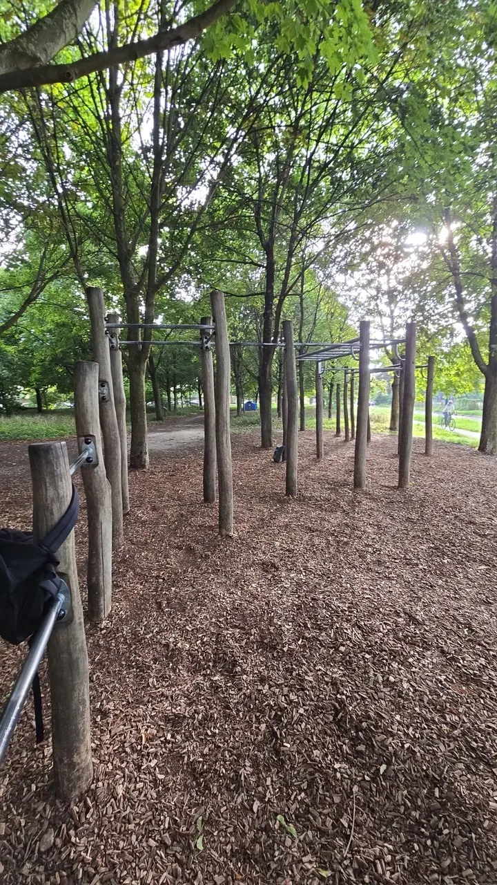 Parc Street workout — Callisthénie à Paris 12e Arrondissement, Paris