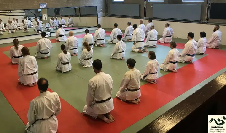 BudoKai Kokoro Ryukyu Kobujutsu — vechtsport-studio in Bergen op Zoom — 3