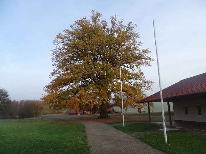 Amica Yoga - Vereinsheim TSV Niedermeiser — Yoga in Kassel