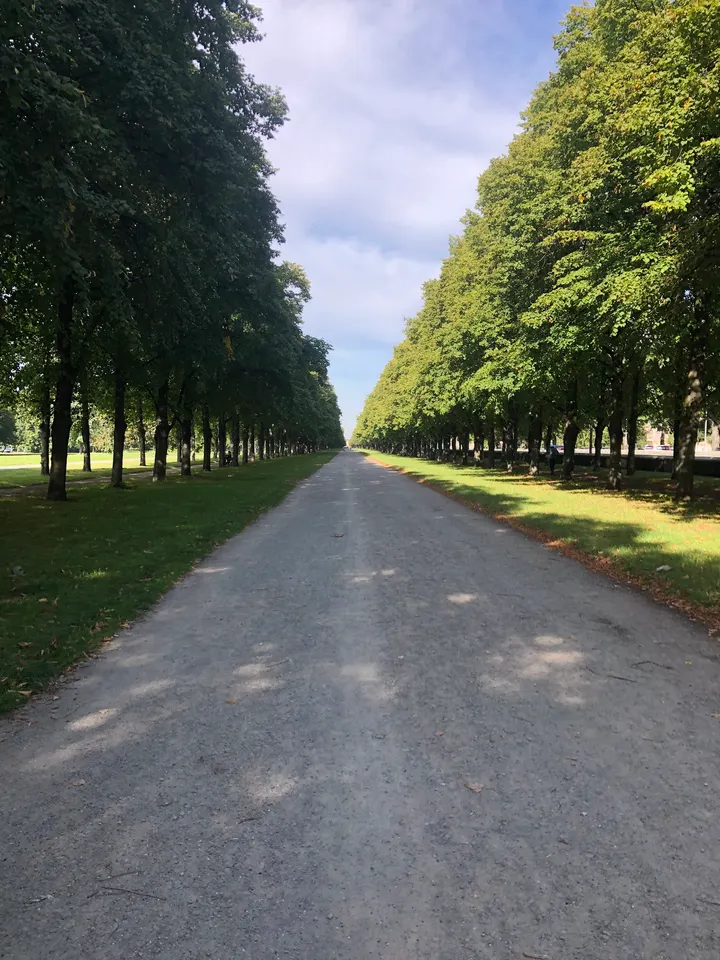 Original Bootcamp - Outdoor Fitness | im Georgengarten — CrossFit in Nordstadt, Hannover