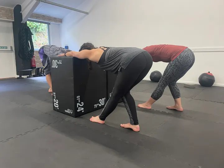 Sequoia Movement — calisthenics-studio in Penryn — 5