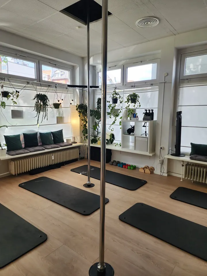 Revival Pole Fitness — fitnessstudio in Frankfurt am Main — 3