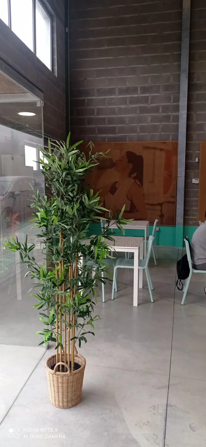 PURE FIT - Pure Sport Fitness — ginásio-studio em Porto — 3