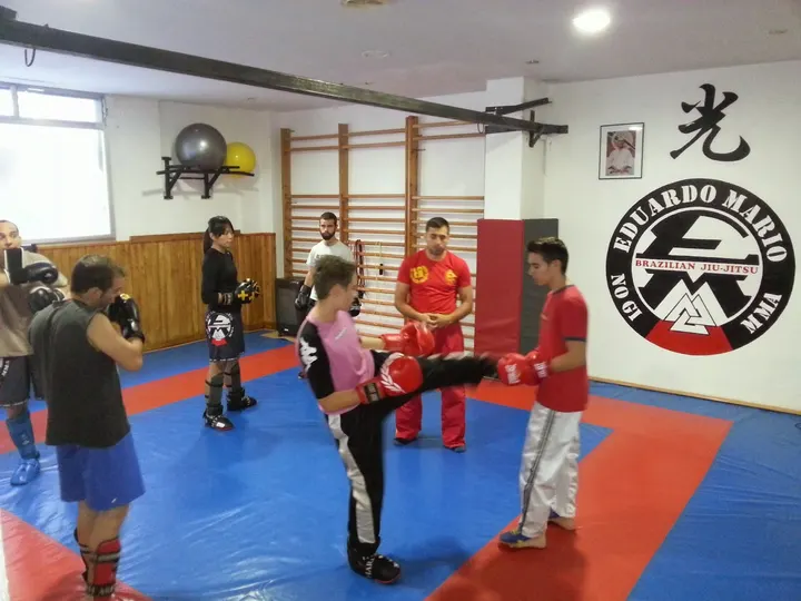 Lince Team Salamanca — Artes marciales en Garrido, Salamanca