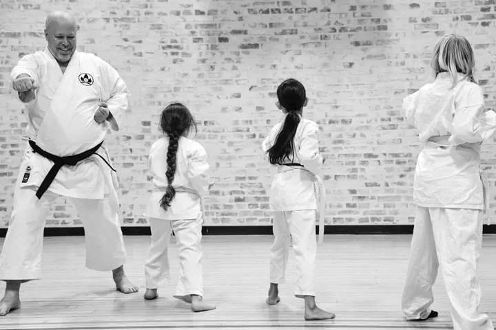 Genseiryu Karatedo Kai Danmark (Sydhavnen) — martial arts-studio i Carlsberg Byen, København