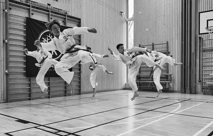 Eklanda Taekwon-Do Club — kampsport-studio i Mölndal, Göteborg — 3