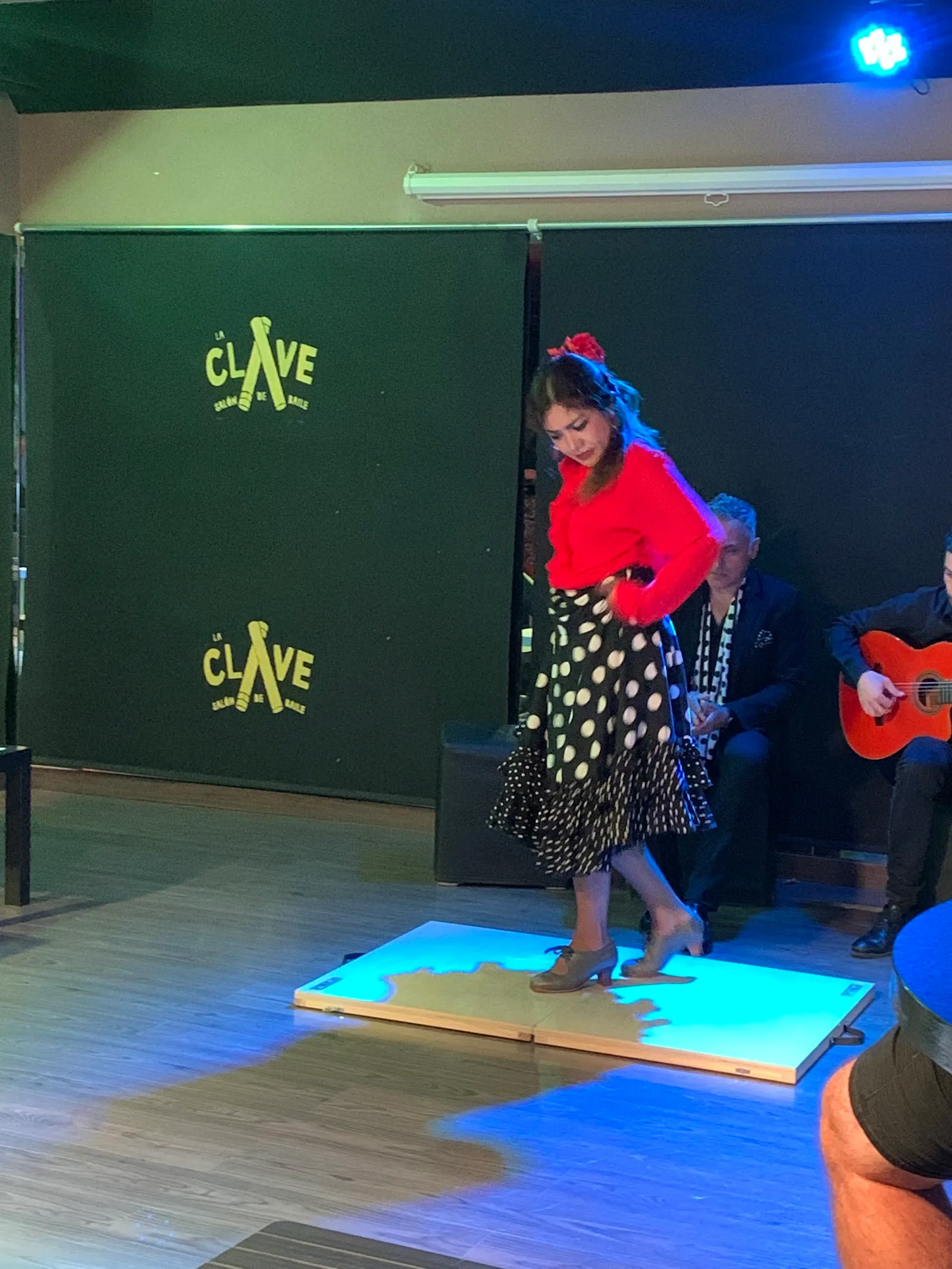 Passion : The story of Flamenco — baile-studio en Miraflores, Marbella — 2