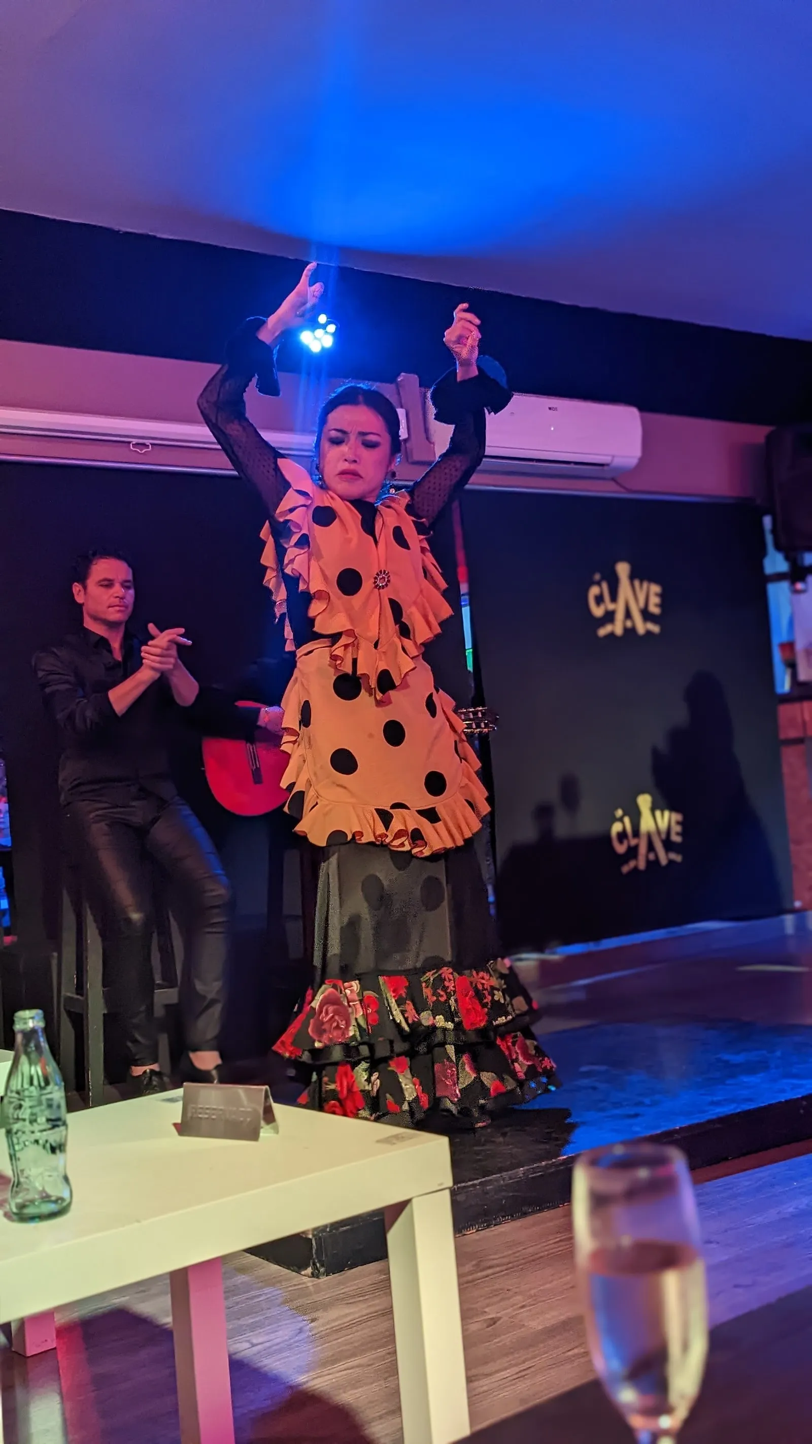 Passion : The story of Flamenco — baile-studio en Miraflores, Marbella — 3