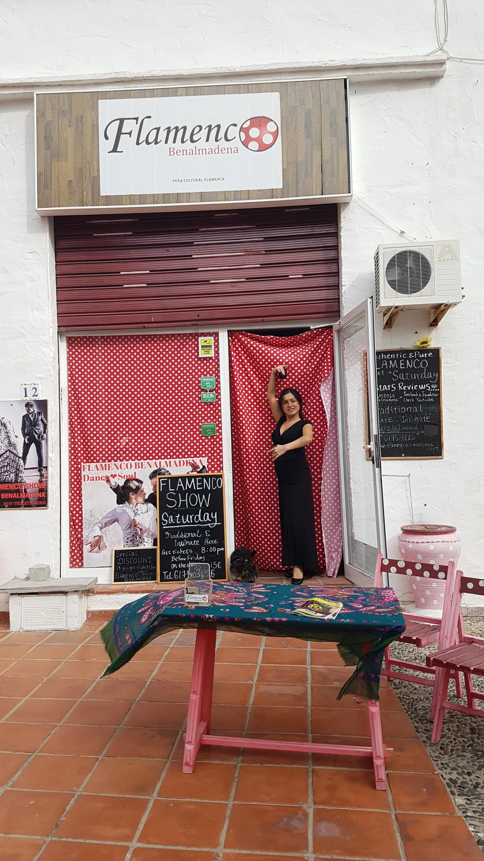 Passion : The story of Flamenco — baile-studio en Marbella — 4