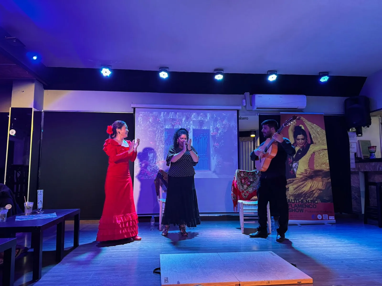 Passion : The story of Flamenco — baile-studio en Marbella — 5