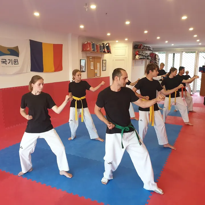 Marbella TaeKwonDo — artes marciales-studio en Monte Biarritz, Estepona — 2