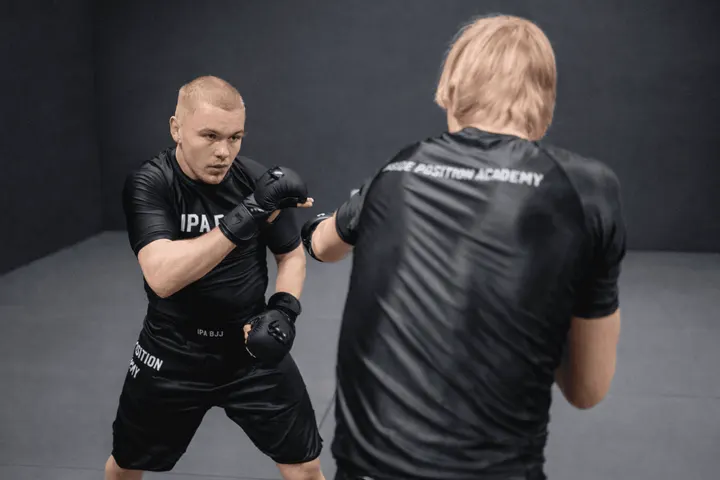 IPA BJJ Hamburg Stellingen — bjj-studio in Stellingen, Hamburg — 3