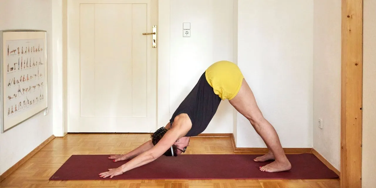 YogaKraftwerk Nici Tannert - Onlinestudio — yoga-studio i Leipzig — 3