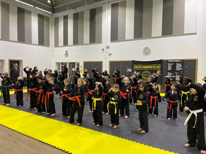 Kazoku Karate-Do — martial arts-studio in Whitley, Reading — 3