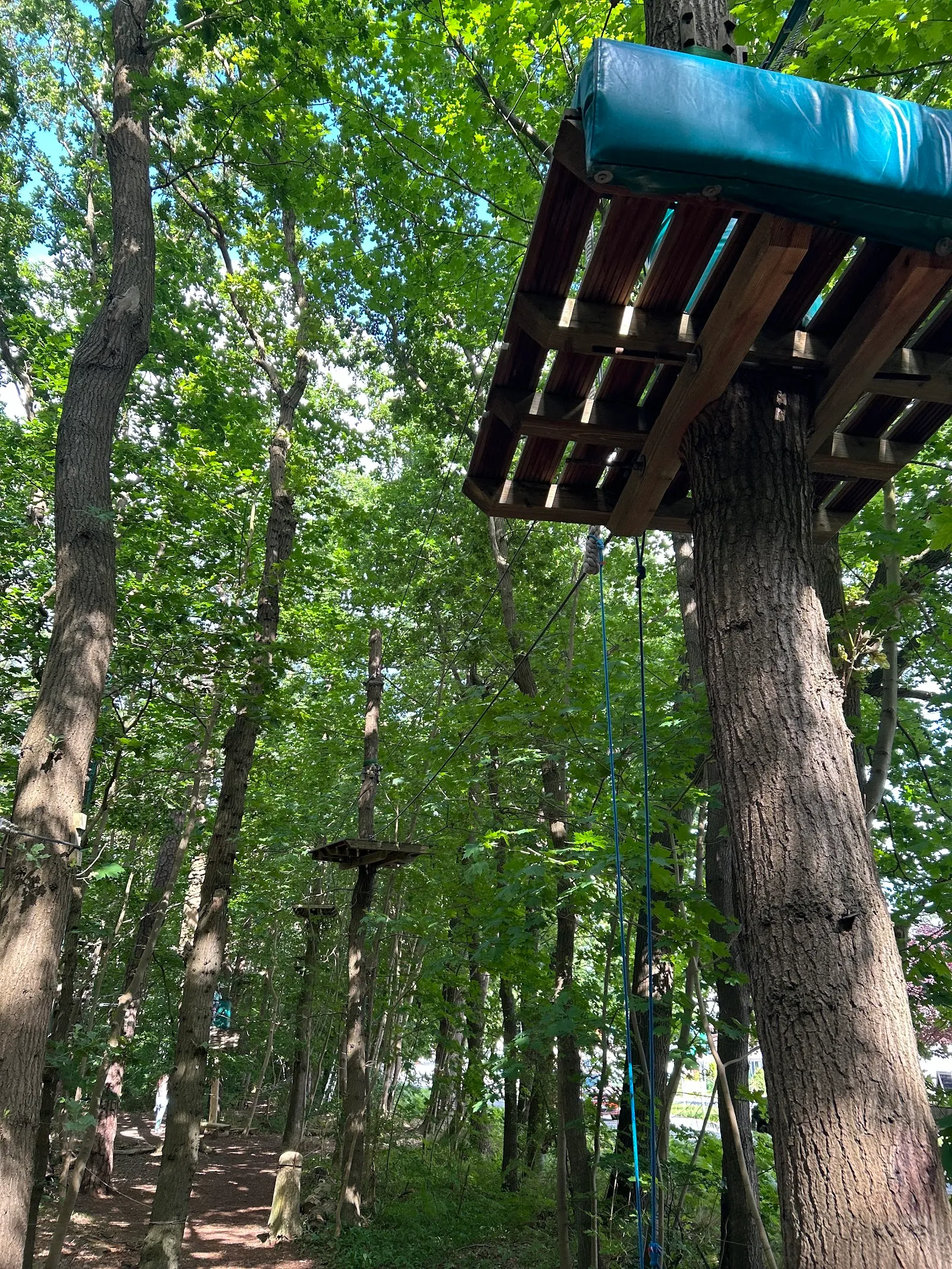 Kletterwald Hohe Düne — klettern-studio in Rostock — 3