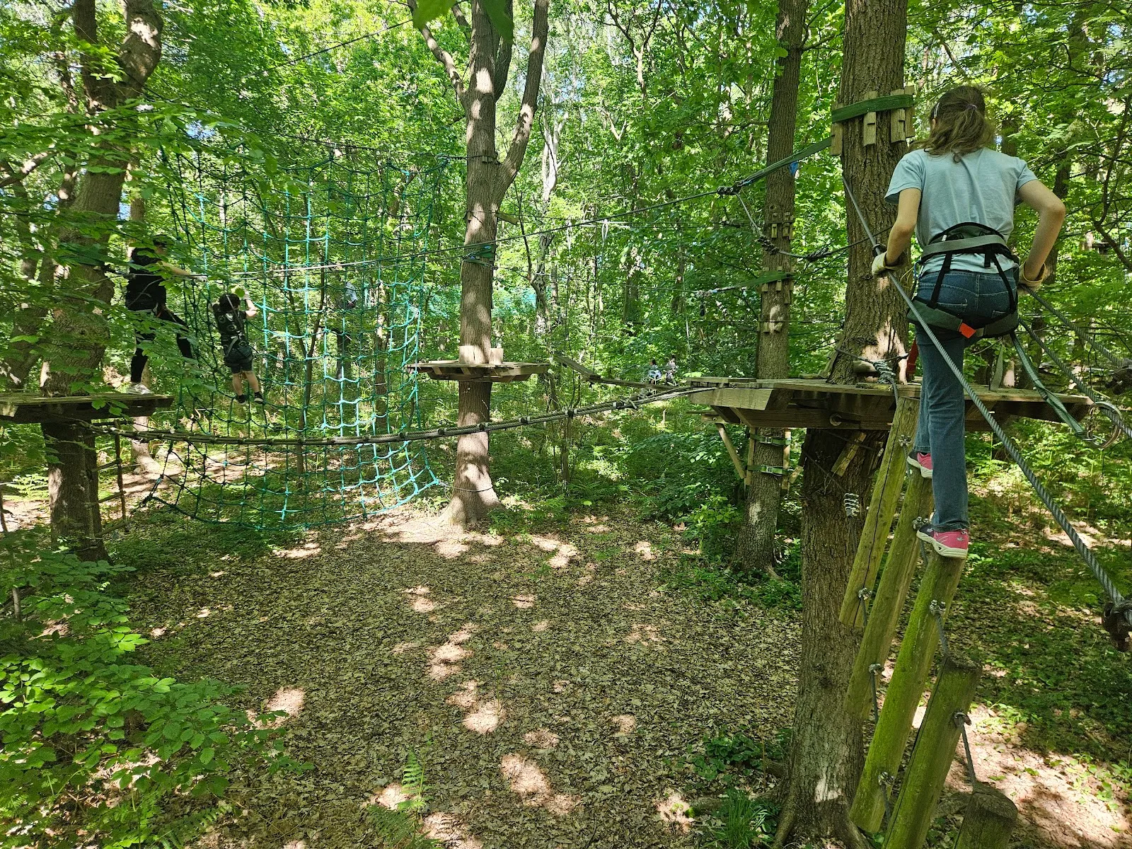 Kletterwald Hohe Düne — klettern-studio in Rostock — 4